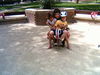 Filename=pict0037.jpg
Filesize=790KiB
Dimensions=2048x1536
Date added=Jun 22, 2007 pict0037.jpg