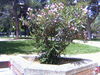Filename=pict0043.jpg
Filesize=796KiB
Dimensions=2048x1536
Date added=Jun 22, 2007 pict0043.jpg