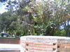 Filename=pict0045.jpg
Filesize=788KiB
Dimensions=2048x1536
Date added=Jun 22, 2007 pict0045.jpg