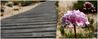 Filename=flor_en_el_camino-g01.jpg
Filesize=75KiB
Dimensions=1024x408
Date added=May 16, 2007 flor_en_el_camino-g01.jpg