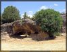 Filename=f-tamajon-ciudad-encantada-f-d04.jpg
Filesize=307KB
Dimensi : 1065x814
Tanggal dimasukkan : Agu 17, 2005 f-tamajon-ciudad-encantada-f-d04.jpg