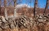 Imagem=navacerrada-muro-c01-n.jpg
Tamanho=138KB
Dimensão=699x450
Data Envio=20 Fev, 2005 navacerrada-muro-c01-n.jpg