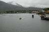 Nom del fitxer=w_chile-crux-australix-P1030560.jpg
Mida del fitxer=185Kb
Dimensions=1350x900
Data de publicació=17 de nov. de 2019 w_chile-crux-australix-P1030560.jpg