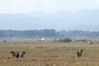 Nom del fitxer=w_laos-luang-namtha-P1000595.jpg
Mida del fitxer=189Kb
Dimensions=1350x900
Data de publicació=21 de nov. de 2018 w_laos-luang-namtha-P1000595.jpg