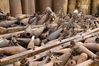 Filename=w_laos-phonsavan-P1010052.jpg
Filesize=325KB
Dimensi : 1350x900
Tanggal dimasukkan : Des 03, 2018 w_laos-phonsavan-P1010052.jpg
