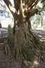 Filename=w_laos-phonsavan-P1010164.jpg
Filesize=188KB
Dimensi : 600x900
Tanggal dimasukkan : Nop 29, 2018 w_laos-phonsavan-P1010164.jpg