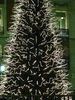 Filename=arbol02.jpg
Filesize=2186KiB
Dimensions=1200x1600
Date added=Jan 09, 2008 arbol02.jpg