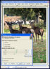 Filename=balance.jpg
Filesize=452KiB
Dimensions=594x829
Date added=Jun 17, 2008 balance.jpg
