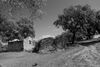 Filename=byndecharly.jpg
Filesize=945KiB
Dimensions=1200x806
Date added=Jun 18, 2008 byndecharly.jpg