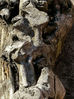 Filename=cara.jpg
Filesize=2312KiB
Dimensions=1244x1659
Date added=Feb 16, 2008 cara.jpg