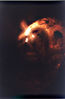 Filename=cuevas.jpg
Filesize=55KiB
Dimensions=450x683
Date added=Aug 18, 2005 cuevas.jpg