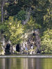 Filename=cuevas~0.jpg
Filesize=1430KiB
Dimensions=900x1200
Date added=May 30, 2008 cuevas~0.jpg