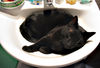 Filename=gato002.jpg
Filesize=66KiB
Dimensions=600x408
Date added=Aug 08, 2005 gato002.jpg