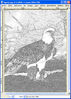Bestandsnaam=invertir.jpg
Bestandsgrootte=440KiB
Afmetingen = 513x718
Datum toegevoegd = 26 apr 2008 invertir.jpg