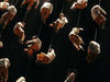 Filename=paredon.jpg
Filesize=887KiB
Dimensions=1200x900
Date added=May 05, 2008 paredon.jpg