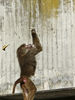 Bestandsnaam=platano.jpg
Bestandsgrootte=1447KiB
Afmetingen = 900x1200
Datum toegevoegd = 06 apr 2008 platano.jpg