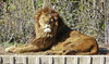 Filename=siesta2.jpg
Filesize=992KiB
Dimensions=1200x709
Date added=Apr 06, 2008 siesta2.jpg