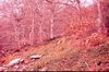 Filename=tercera.jpg
Filesize=70KiB
Dimensions=641x425
Date added=Mar 10, 2008 tercera.jpg