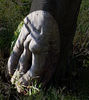 Filename=troco.jpg
Filesize=137KiB
Dimensions=350x392
Date added=Mar 08, 2008 troco.jpg