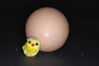 Filename=02~0.jpg
Filesize=1471KiB
Dimensions=3008x2000
Date added=Feb 10, 2008 02~0.jpg