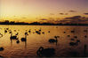 Filename=02~4.jpg
Filesize=188KiB
Dimensions=800x531
Date added=Jun 05, 2008 02~4.jpg