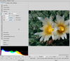 Filename=03~5.jpg
Filesize=194KiB
Dimensions=1103x974
Date added=Nov 06, 2009 03~5.jpg