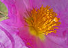 Filename=06~0.jpg
Filesize=459KiB
Dimensions=1122x802
Date added=Feb 12, 2008 06~0.jpg