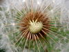Filename=10_201004~0.jpg
Filesize=185KiB
Dimensions=1024x768
Date added=May 02, 2010 10_201004~0.jpg