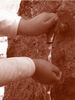 Filename=13~0.jpg
Filesize=1643KiB
Dimensions=1839x2452
Date added=Mar 24, 2008 13~0.jpg