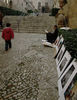 Filename=8e8hs3n.jpg
Filesize=376KiB
Dimensions=480x621
Date added=Dec 17, 2007 8e8hs3n.jpg
