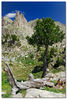 Nombre del archivo=Amitges.jpg
Tamaño del archivo=270Kb
Dimensiones=522x768
Fecha añadida=16 de Septiembre de 07 Amitges.jpg