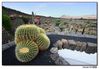 Nombre del archivo=Cactus_10.jpg
Tamaño del archivo=424Kb
Dimensiones=1254x875
Fecha añadida=15 de Julio de 09 Cactus_10.jpg