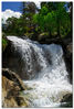 Nombre del archivo=Cascada~0.jpg
Tamaño del archivo=297Kb
Dimensiones=522x768
Fecha añadida=16 de Septiembre de 07 Cascada~0.jpg