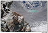 Filename=Gornergrat01.jpg
Filesize=591KiB
Dimensions=1545x1066
Date added=Feb 04, 2009 Gornergrat01.jpg