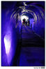 Nombre del archivo=Mer_de_Glace_09_Gruta.jpg
Tamaño del archivo=93Kb
Dimensiones=511x768
Fecha añadida=30 de Julio de 08 Mer_de_Glace_09_Gruta.jpg