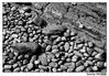 Nombre del archivo=Piedras.jpg
Tamaño del archivo=288Kb
Dimensiones=1024x712
Fecha añadida=24 de Agosto de 08 Piedras.jpg