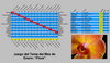 Dateiname=Votaciones~1.jpg
Dateigröße=364KB
Abmessungen: 1603x930
hinzugefügt am: 01. Februar 2010 Votaciones~1.jpg