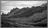 Nombre del archivo=_DSC0016.jpg
Tamaño del archivo=175Kb
Dimensiones=1024x607
Fecha añadida=24 de Febrero de 07 _DSC0016.jpg
