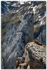 Filename=_DSC0041.jpg
Filesize=242KiB
Dimensions=522x768
Date added=May 17, 2007 _DSC0041.jpg