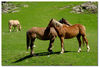 Filename=_DSC0048.jpg
Filesize=237KiB
Dimensions=1024x695
Date added=May 17, 2007 _DSC0048.jpg