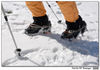 Filename=_DSC1640.jpg
Filesize=192KiB
Dimensions=1024x718
Date added=May 10, 2008 _DSC1640.jpg