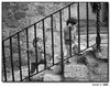 Filename=niñas_escalera_2.JPG
Filesize=563KiB
Dimensions=1252x994
Date added=Aug 08, 2011 niñas_escalera_2.JPG