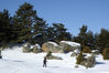 Nombre del archivo=nieve.jpg
Tamaño del archivo=183Kb
Dimensiones=500x332
Fecha añadida=05 de Diciembre de 05 nieve.jpg