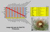 Imagem=resultados_abril_10.jpg
Tamanho=291KB
Dimensão=1273x838
Data Envio=02 Mai, 2010 resultados_abril_10.jpg
