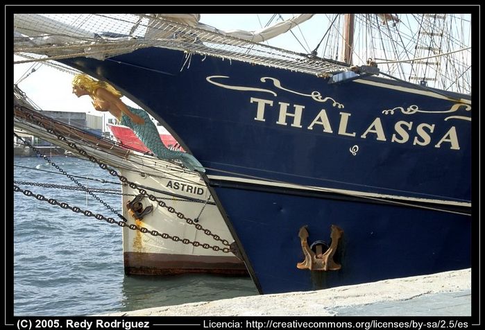 Thalassa