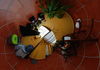Nombre del archivo=02_201310.jpg
Tamaño del archivo=410Kb
Dimensiones=1800x1264
Fecha añadida=13 de Octubre de 13 02_201310.jpg