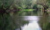 Filename=08_201307.jpg
Filesize=383KiB
Dimensions=1454x882
Date added=Jul 25, 2013 08_201307.jpg
