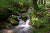 Filename=Fraga-06.jpg
Filesize=399KiB
Dimensions=1500x999
Date added=Jul 07, 2014 Fraga-06.jpg