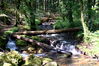 Filename=Fraga-10.jpg
Filesize=420KiB
Dimensions=1500x999
Date added=Jul 07, 2014 Fraga-10.jpg