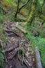 Filename=Fraga-11.jpg
Filesize=460KiB
Dimensions=999x1500
Date added=Jul 07, 2014 Fraga-11.jpg
